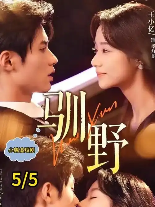 长夜将明 热播电视剧免费观看